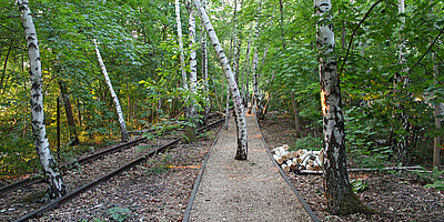 Natur-Park Schöneberger Südgelände